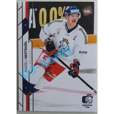 2021 MK reprezentace Andrej Nestrašil EHT #26