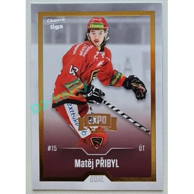 2022/23 Goal Cards Chance Liga Update #430 Matěj Přibyl Expo Gold 1 of 3