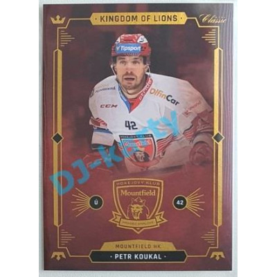 2021 OFS Kingdom of Lions Petr Koukal #B24