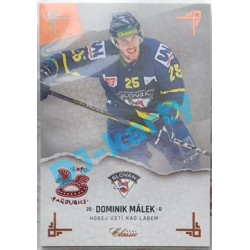 2019/20 OFS Chance liga Dominik Málek #274 x/6 Expo Pard.