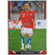 2022 PROARENA Repre v srdcích #5 David Rozehnal RED