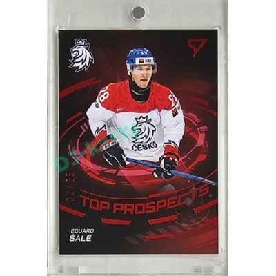 2024 Sportzoo Hokejové ČESKO #TP-8 Eduard Šalé Top Prospects Limited 02/25