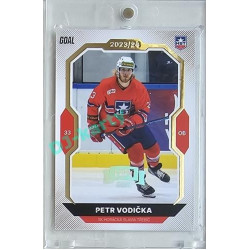 2023/24 Goal cards Chance Liga 2. série #235 Petr Vodička Expo Silver 1of7