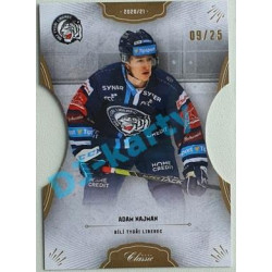 2020/21 OFS 2. série Adam Najman #208 09/25 Hobby Cut