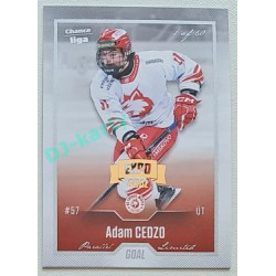 2022/23 Goal Cards Chance Liga Update #468 Adam Cedzo Expo Silver 1 of 3