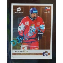 2020 MK Stick David Jiříček Nejmladší debutant v národním týmu #26 1 of 25 Bronze