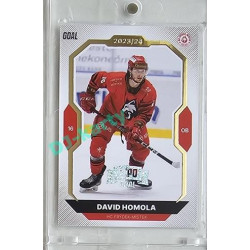 2023/24 Goal cards Chance Liga 2. série #316 David Homola Expo Perleť 1of7