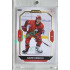 2023/24 Goal cards Chance Liga 2. série #316 David Homola Expo Perleť 1of7