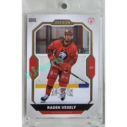2023/24 Goal cards Chance Liga 2. série #322 Radek Veselý Expo Perleť 1of7