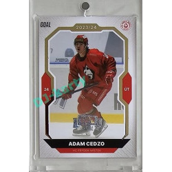 2023/24 Goal cards Chance Liga 2. série #323 Adam Cedzo Expo Perleť 1of7