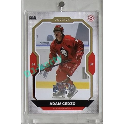 2023/24 Goal cards Chance Liga 2. série #323 Adam Cedzo Expo Perleť 1of7