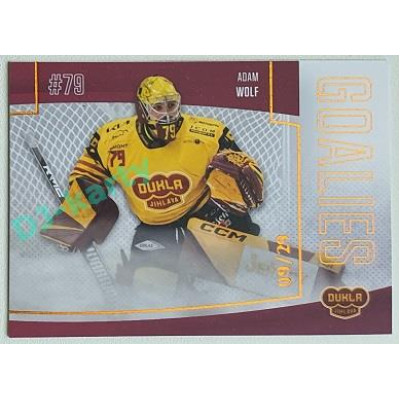 2022/23 Goal Cards Chance Liga 2. série #G-19 Adam Wolf Goalies Parallel xx/29
