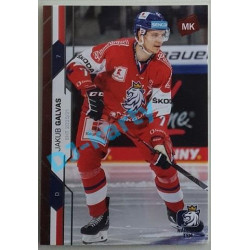 2021 MK reprezentace Jakub Galvas EHT #7 19/25 Red