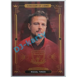 2021 OFS Kingdom of Lions Michal Tvrdík #B32