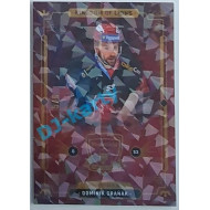 2021 OFS Kingdom of Lions Dominik Graňák #B10 5/6 Cracked Ice