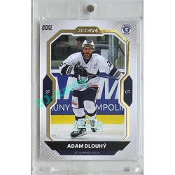 2023/24 Goal cards Chance Liga 2. série #352 Adam Dlouhý Expo Perleť 1of7