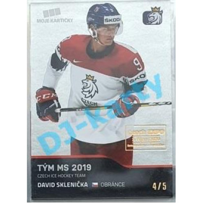 2020 MK reprezentace David Sklenička #51 4/5 Silver Czech Expo