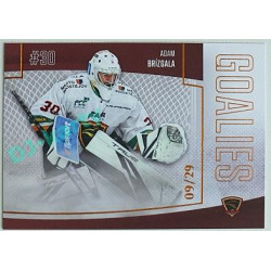 2022/23 Goal Cards Chance Liga 2. série #G-23 Adam Brízgala Goalies Parallel xx/29