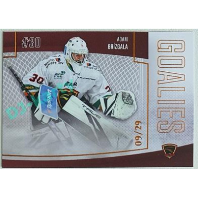 2022/23 Goal Cards Chance Liga 2. série #G-23 Adam Brízgala Goalies Parallel xx/29