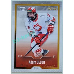 2022/23 Goal Cards Chance Liga Update #468 Adam Cedzo Gold xx/23