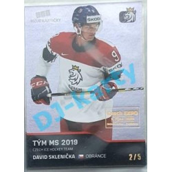 2020 MK reprezentace David Sklenička #51 2/5 Blue Czech Expo