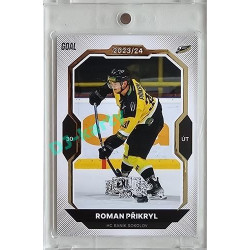 2023/24 Goal cards Chance Liga 2. série #363 Roman Přikryl Expo Perleť 1of7