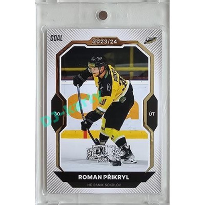 2023/24 Goal cards Chance Liga 2. série #363 Roman Přikryl Expo Perleť 1of7