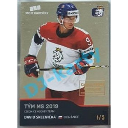 2020 MK reprezentace David Sklenička #51 1/5 Gold Czech Expo