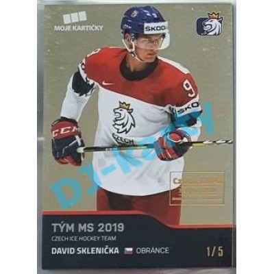 2020 MK reprezentace David Sklenička #51 1/5 Gold Czech Expo