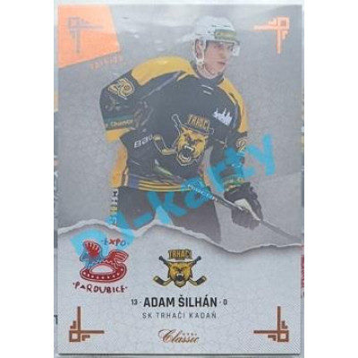 2019/20 OFS Chance liga Adam Šilhán #291 x/6 Expo Pard.