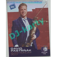 2020 MK STICK with czech hockey - David Pastrňák - Bronze