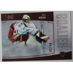 2022/23 Goal Cards Chance Liga 1. série #G-6 Josef Němeček Goalies Parallel 02/49