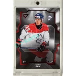 2024 Sportzoo Hokejové ČESKO #CD-22 Eduard Šalé Team 20