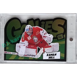 2023 MK reprezentace #G-07 Roman Will Goalie Green Die-cut 17/35