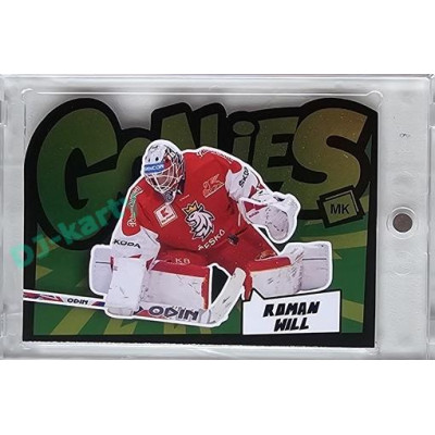 2023 MK reprezentace #G-07 Roman Will Goalie Green Die-cut 17/35