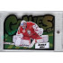 2023 MK reprezentace #G-07 Roman Will Goalie Green Die-cut 17/35
