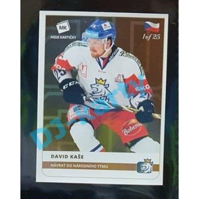 2020 MK Stick David Kaše Návrat do národního týmu #35 1 of 25 Bronze