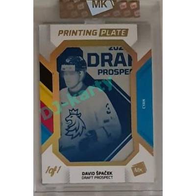 2023 MK The Gamers #PP-DŠ David Špaček 2022 Draft Prospects Printing Plate 1/1 Cyan