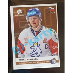 2020 MK Stick Andrej Nestrašil Nejproduktivnější hráč národního týmu #41 1 of 25 Bronze