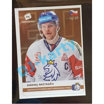 2020 MK Stick Andrej Nestrašil Nejproduktivnější hráč národního týmu #41 1 of 25 Bronze
