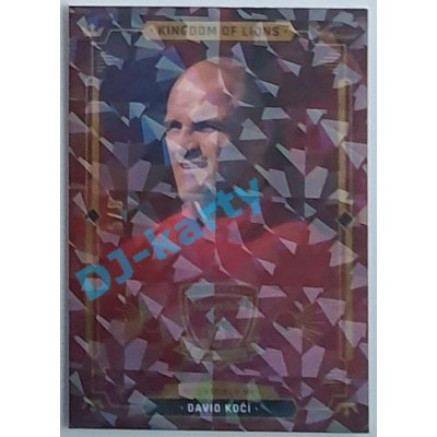 2021 OFS Kingdom of Lions David Kočí #B30 5/6 Cracked Ice