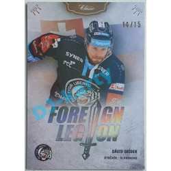 2020/21 OFS 2. série Dávid Gríger #FL-DGÍ 14/15 Foreign Legion Neon Rainbow