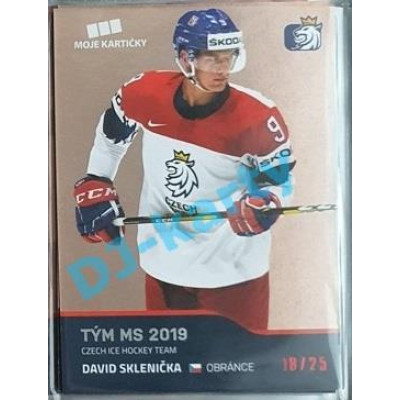 2020 MK reprezentace David Sklenička Tým MS 2019 #51 18/25 Red
