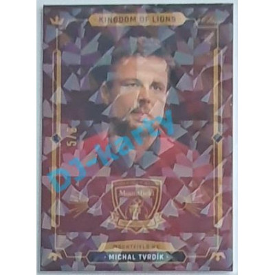 2021 OFS Kingdom of Lions Michal Tvrdík #B32 5/6 Cracked Ice