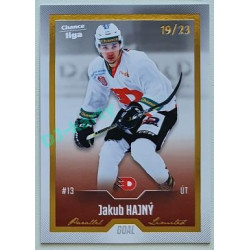 2022/23 Goal Cards Chance Liga Update #478 Jakub Hajný Gold xx/23