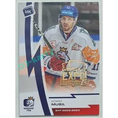 2023 MK reprezentace #34 David Musil Expo