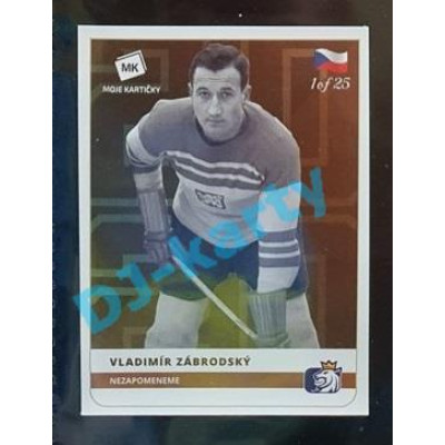 2020 MK Stick Vladimír Zábrodský Nezapomeneme #44 1 of 25 Bronze