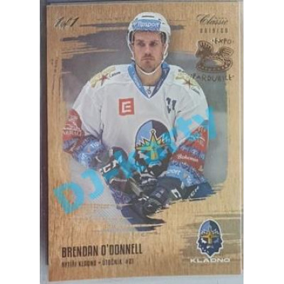 2019/20 OFS Brendan O´Donnell #243 1/1 Gold Rainbow Expo Pard.