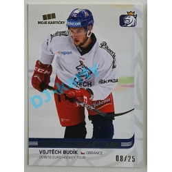 2018/19 MK reprezentace Vojtěch Budík #2 08/25 Gold