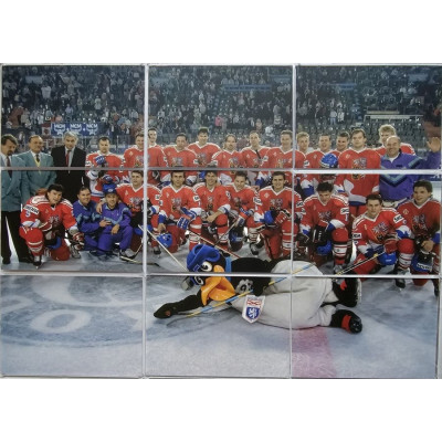 2023 LC Bronze Medal Memories 1993 #TP-06 Team Photo Puzzle